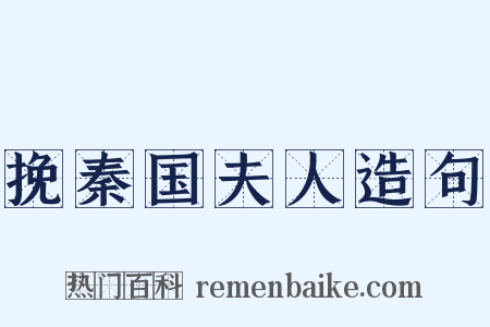 挽秦国夫人造句是什么意思的图片